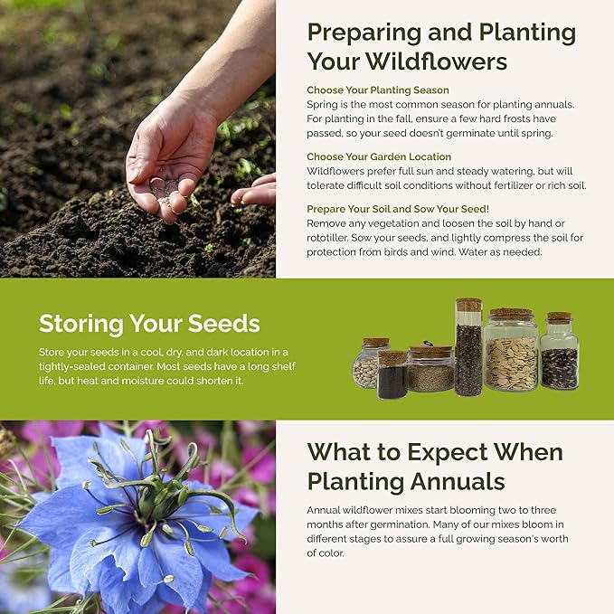 Eden Brothers Country Garden Flower Mixed Seeds for Planting, 1 lb, 480,000+ Seeds with Scarlet Flax, Cosmos Sensation | Attracts Pollinators, Plant in Spring or Fall, Zones 3, 4, 5, 6, 7, 8, 9, 10