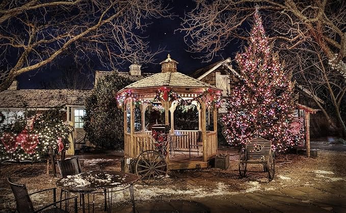 Outdoor String Lights, 300 LED 108Ft Christmas Light with Remote, 8 Lighting Modes, Powered Plug for Wedding Party Garden Tree Yard Indoor Decorations, Multi-Color