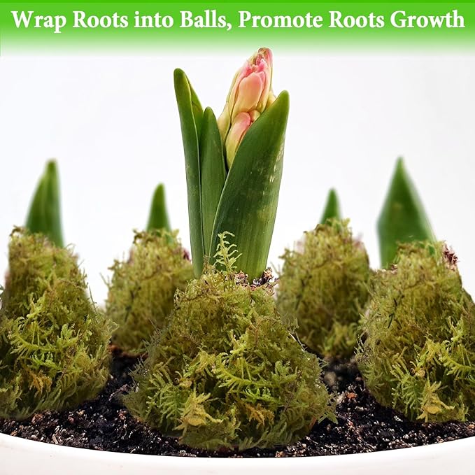 Halatool 8OZ Green Forest Moss- 12QT Natural Sphagnum Moss for Plants Fluffy Orchid Moss for Orchids Repotting Dried Plant Moss for Potted Plants Indoor & Outdoor