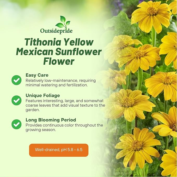 Outsidepride Yellow Torch Mexican Sunflower Seeds - 1000 Pcs Annual, Easy-to-Grow, Yellow Tithonia Speciosa Flower Seeds w/Drought-Tolerant Blooms for Pollinator Gardens & Vibrant Summer Landscaping