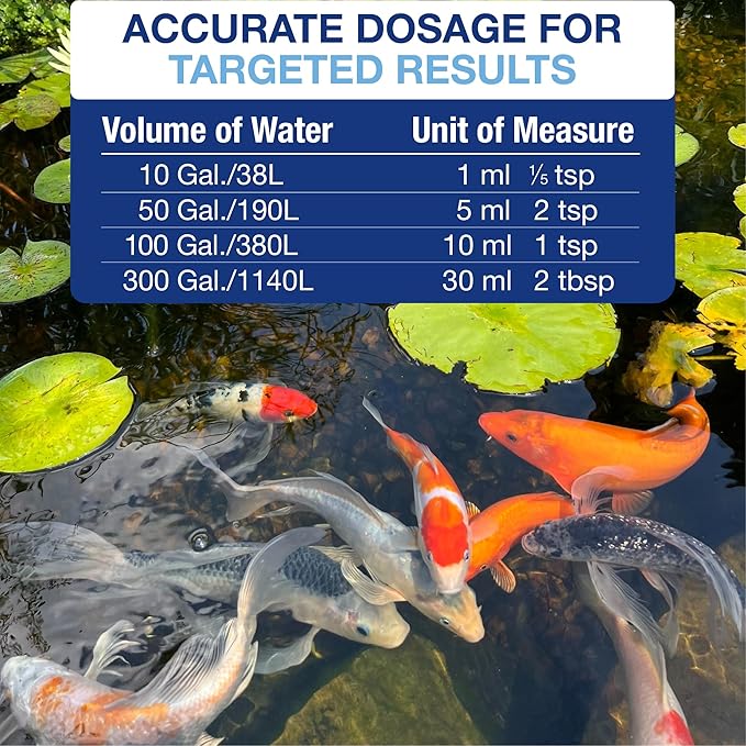 Aquascape Algaecide for Ponds, Waterfalls, and Fountains – Fast-Acting Algae Control, 32 oz / 946 ml, 96024