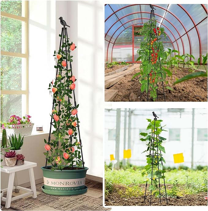 Garden Obelisk Trellis for Climbing Plants Outdoors, 65 Inch Rustproof Plant Stand Climbing Support with Adjustable Heights for Indoor Potted Plants, Vines, Flowers Stands, Vegetables (1)