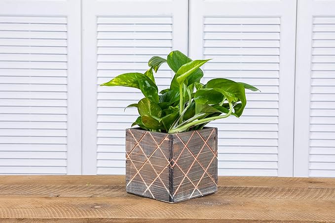 Wood Planter Box with Diamond Cross Hatch Style, 5 Inch Square, Rustic Barn Wood, Plastic Liner, Wedding Flowers Holder, Home and Venue Decor (5x5 Diamond Cross Hatch Set of 4, Natural)