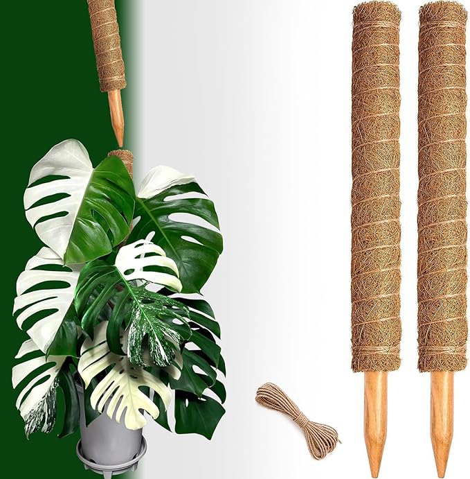 2 Pack 21 Inch Moss Poles, Stackable Moss Pole for Plants Monstera, 37 Inch Tall Moss Poles for Climbing Plants Indoor, Coir Totem Plant Support Stakes Stand for Potted Plants, Pothos