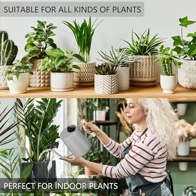 Watering Can Indoor Plants, 35oz Small Watering Can Indoor Stainless Steel Metal Watering Can Modern Decorative Watering Pot with Long Spout for Indoor House Plant Bonsai Garden Flowers (Gray)