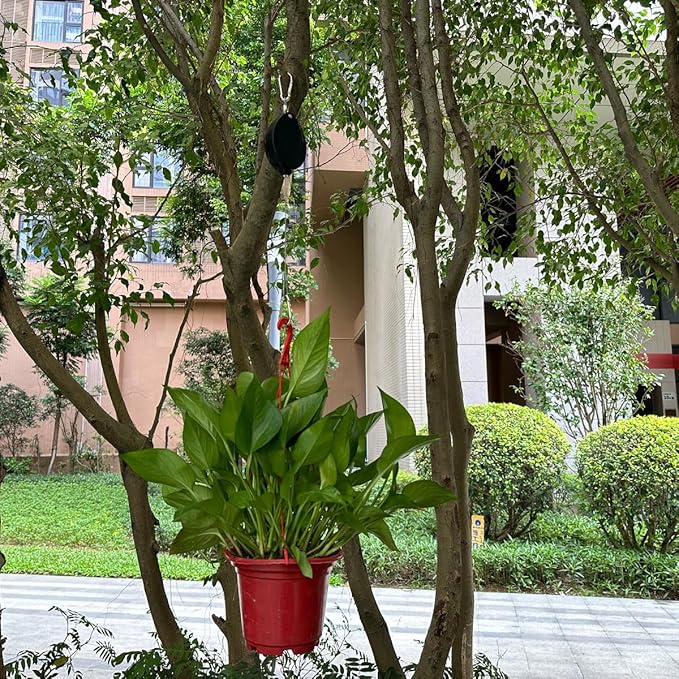 Retractable Plant Hanger, Plant Hook Pulley with Stainless Steel Rope Reaching to a Length of 63 Inches and Carrying 44 Pounds, Easy for Hanging, Plant Watering or Bird Feeding