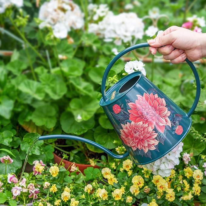 Berry&Bird House Plants Watering Can - Indoor & Outdoor 1/2 Gallon Stainless Steel Water Can with Long Spout Garden Decoration for Flower Bonsai Succulent Gardening Large Watwer Bottle(2L/68oz,Dahlia)