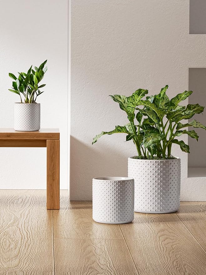 LE TAUCI 6+8+10 Inch Plant Pots Indoor, Ceramic Planter Pots for Plants, Raised Dots Flower Pots Indoor for Home and Office, Mid-Modern Century Pots with Drainage Hole and Plug, Glaze Arctic White