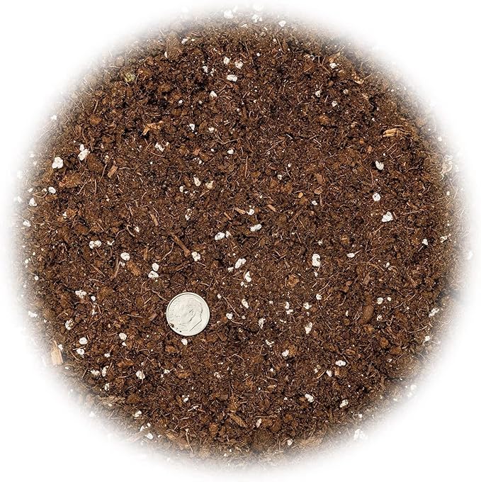 Premium Snake Plant Potting Soil Mix - 20 Quart - Green Sansevieria Trifascatia Zeylanica Plants, Plant or Re-Pot Your Snake Plant (4 Bags of 5 Quart)