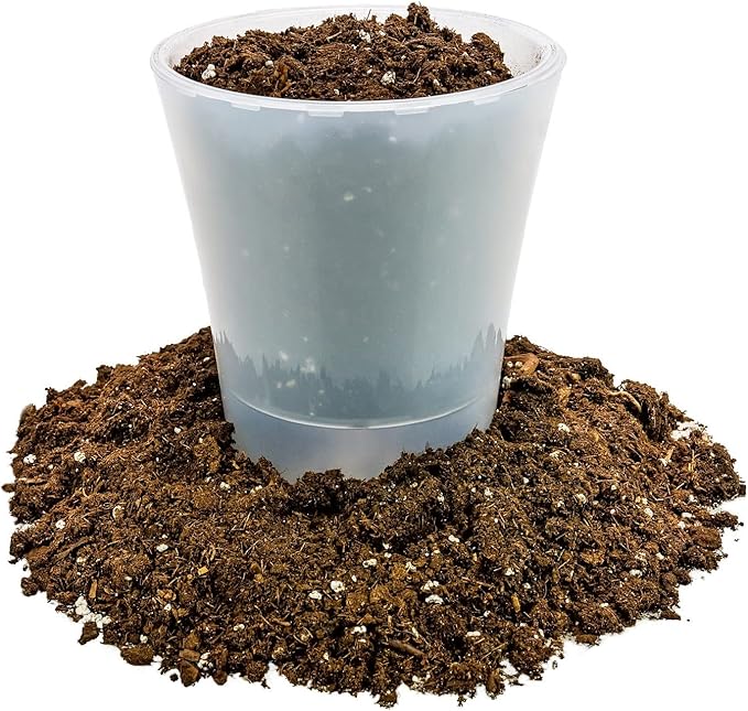 Money Tree Potting Soil, Soil Mix for Planting or Repotting Guiana Chestnut, Soil Blended to Properly Grow Money Tree Plants - (3 Quart Bag)