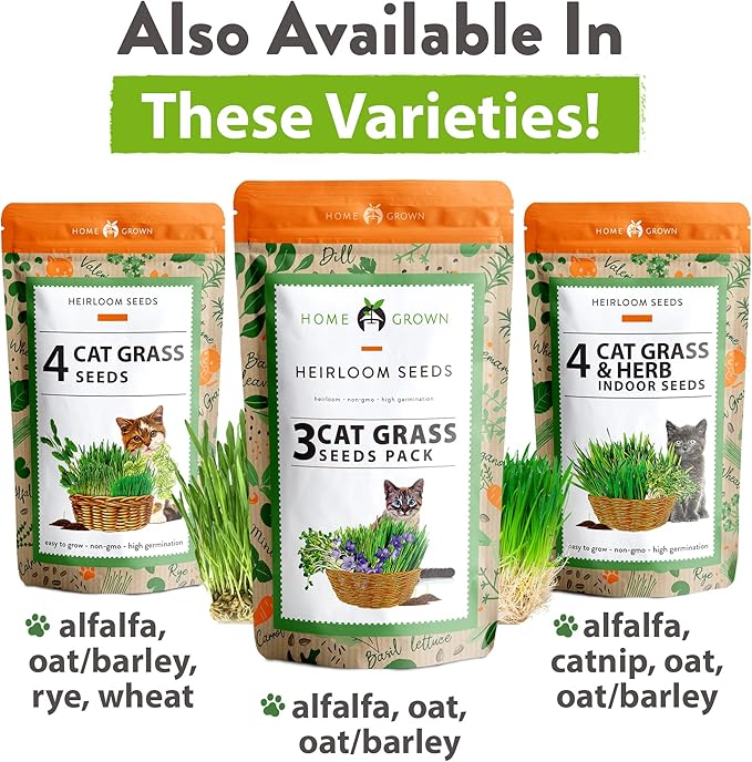 HOME GROWN Cat Grass Seed Mix – Non-GMO Oat, Alfalfa, Rye & Wheat Seeds for Cats | Indoor Pet Grass with Fast Germination | Digestive Aid, Hairball Relief & Safe Chew Alternative