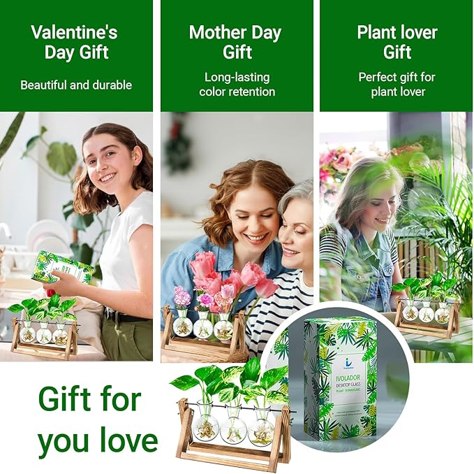 Ivolador Plant Propagation Station,Bulb Plant Terrarium with Wooden Stand,Unique Gardening Gifts for Women Plant Lovers,Hydroponic Indoor Planter Home Office Garden Wedding Decor-3 Bulb Glass Vases
