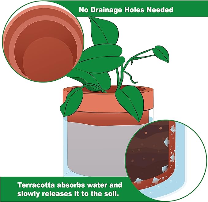 Phoenix Vine 4 Inch 6 Inch Self Watering Planter Pots, Terracotta Clay Pots with Glass Reservoir for Indoor Plants, Herbs, Flowers, 52-A-G-46