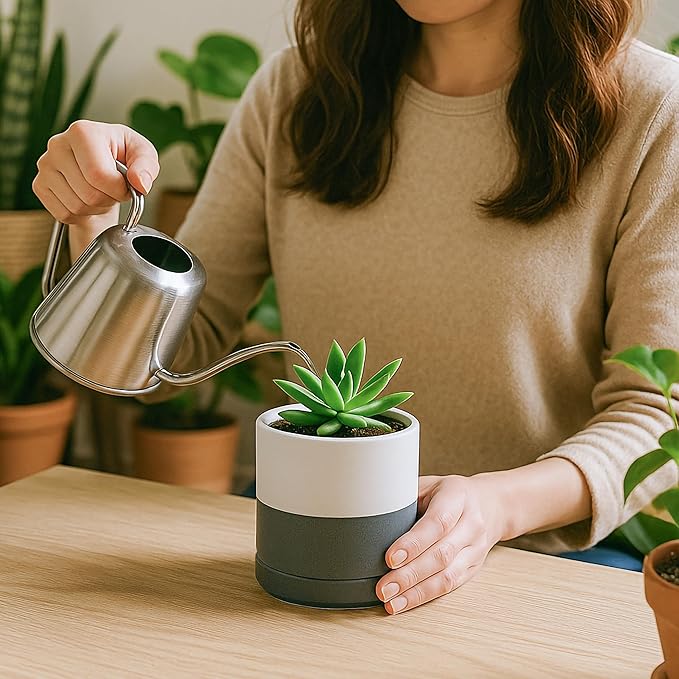 D'vine Dev Set of 4 Small Ceramic Plant Pots, 3.5 Inch Succulent Planter Pot for Plants with Drainage Hole and Saucer, White/Speckled Grey, 94-X-A-6