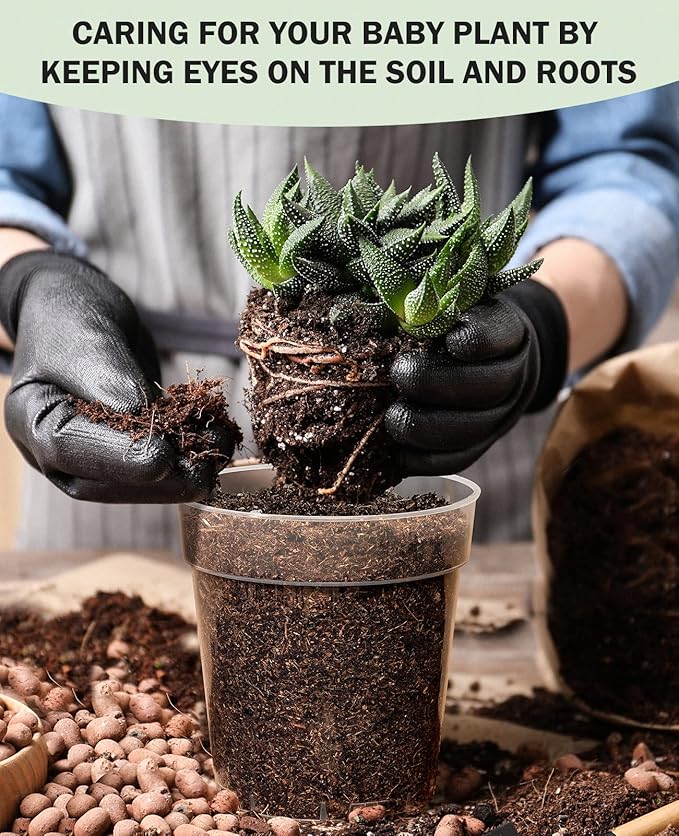 homenote Clear Nursery Pots for Plants,5 Inch Plant Pot for Planting Plastic Seedling with Drainage Holes Seed Starter Flower High Transparency with 20 Labels (30 Pack)