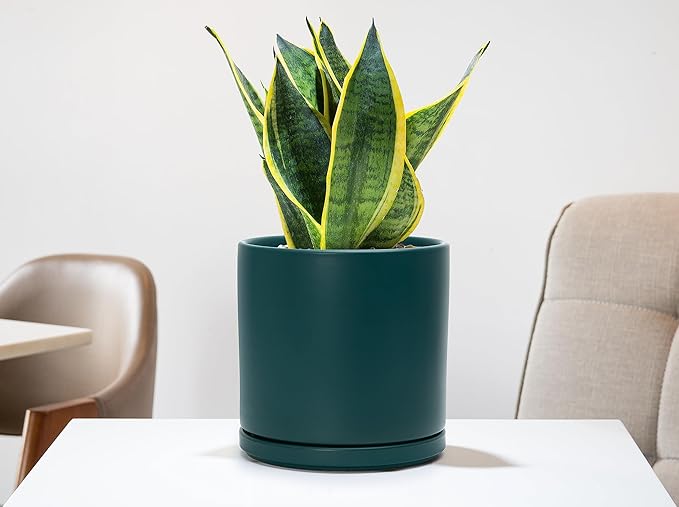 D'vine Dev 8 Inch Ceramic Planter Pot with Drainage Hole and Saucer, Indoor Cylinder Round Planter Pot, Teal, 94-O-D-9