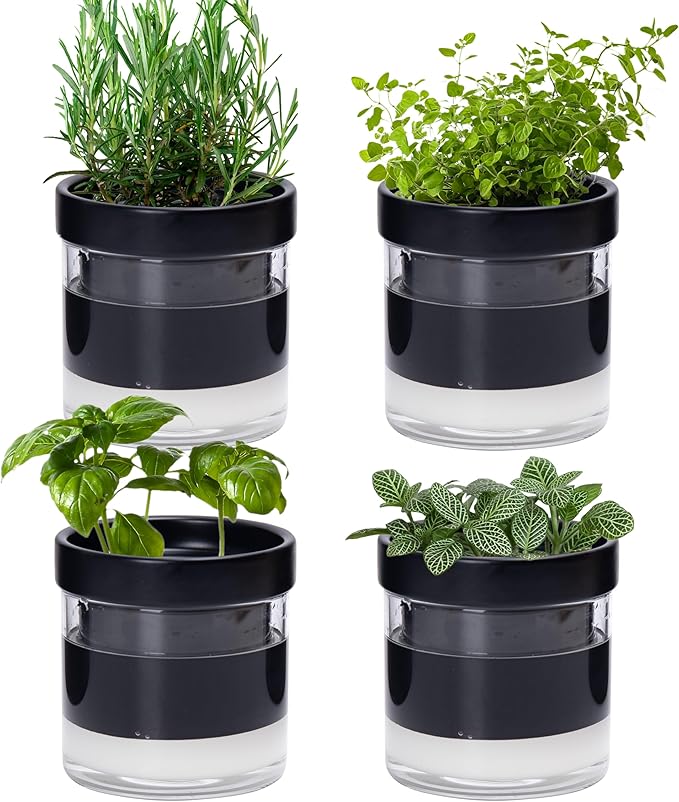 Phoenix Vine 4 Inch Self Watering Planter Pot, Black Terracotta Clay Pot with Glass Reservoir for Indoor Plants, Herbs, Flowers, Set of 4, 52-C-E-4