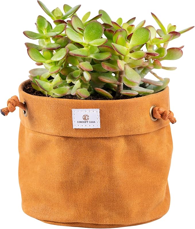 Waxed Canvas Handmade Hanging Planter for Indoor/Outdoor Plants, Hanging Basket Plant Holder Dijon Yellow