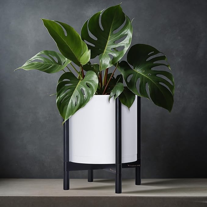 D'vine Dev Planter Pot with Stand - 12 Inch Plastic Cylinder Flower Pot with Wood Planter Holder for Indoor, Matte White Pot + Ebony Stand, 55-C-Q-1