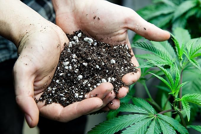 Premium JUST-ADD-Water Potting Soil Mix - Optimal Nutrient-Rich Blend for Thriving and HIGH-Yield Herbal Plants - 10 Quart