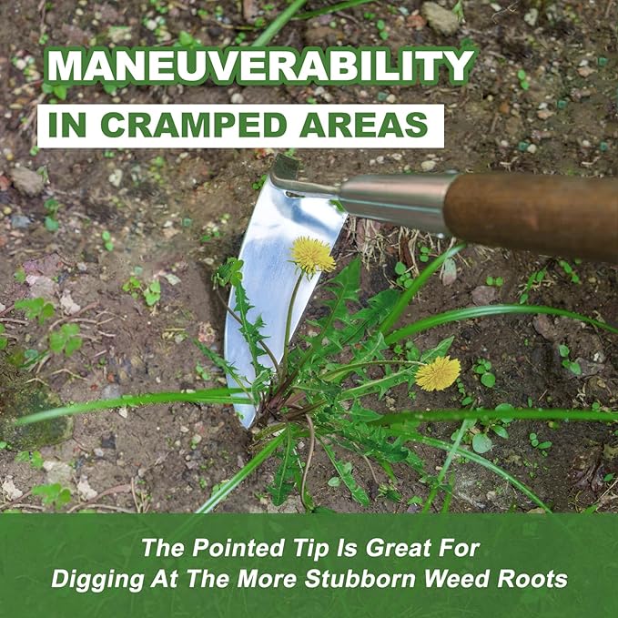 Haliaeetus Sickle Hoe, 58'' Long Handle Japanese Hand Hoe for Standing to Remove Weed, Stainless Steel Scraper Hoe, Bent Angle Weeding Sickle for Fastly Scraping Out Weed on Flower Bed, Between Plants