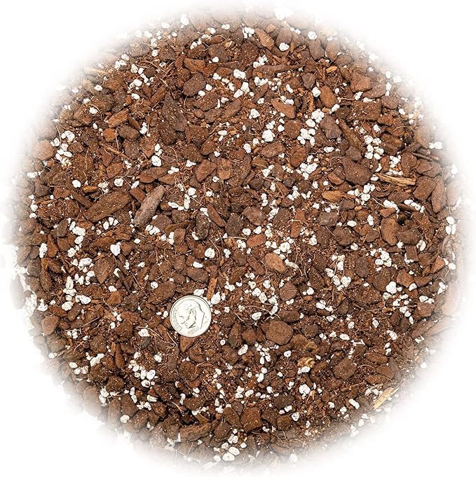 Premium Split Leaf Philodendron Potting Mix - Hand-Crafted with Optimal Nutrients for Healthy Growth - 1 Quart