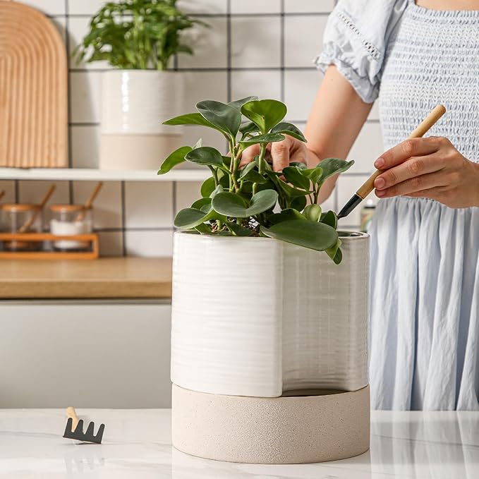 Nihow Self Watering Plant Pot: 8 Inch Ceramic Planter with Drainage Hole & Water Storage Plus for Indoor & Outdoor Plants - Cylinder Round Flower Pot for Succulent/Herbs/Violets - Cream White & Brown