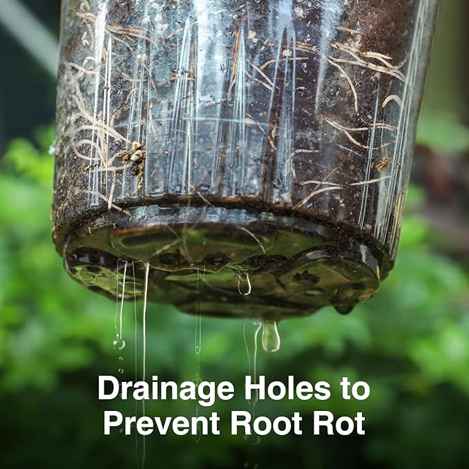 Bonviee Clear Nursery Pots for Plants, 4 Inch Plastic Seedling Pots with Drainage Holes, Planters for Indoor Plants and Small Seed Starters, High Transparency Flower Pots with 20 Plant Labels, 60 Pack