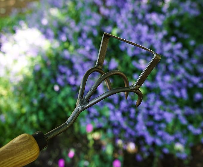 DeWit Culti-Weeder with Short Handle