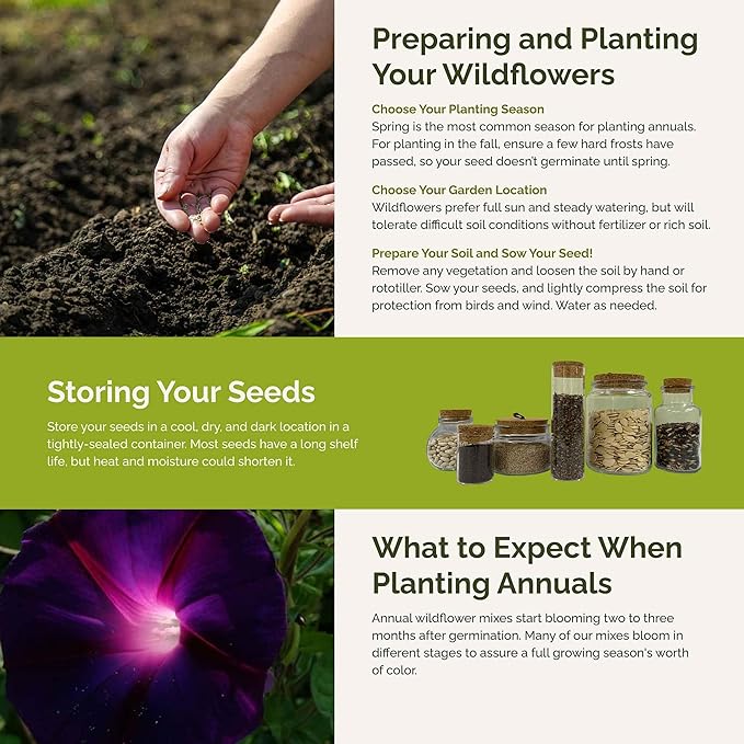 Eden Brothers Colorful Climbers Flower Mixed Seeds for Planting, 1 lb, 480,000+ Seeds with Morning Glory, Sweet Pea | Attracts Pollinators, Plant in Spring or Fall, Zones 3, 4, 5, 6, 7, 8, 9, 10