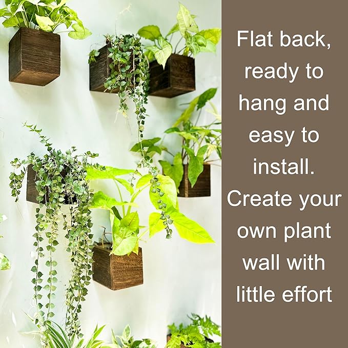 LaLaGreen Wood Planter Boxes for Indoor Plants (6 Pack, 4x4 Inch) Small Square Wall Mounted Planters Flower Pot, Herb Wooden Box Hanging Plant Holder Outdoor Balcony Vertical Garden Modern Home Decor