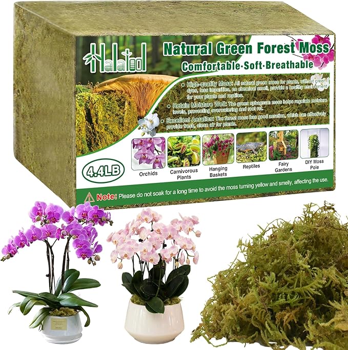 Halatool 4.4LB Green Forest Moss Natural Sphagnum Moss for Plants Fluffy Orchid Moss for Orchids Repotting Dried Plant Moss for Potted Plants Indoor & Outdoor