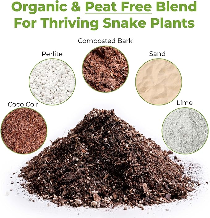 Perfect Plants Organic Snake Plant Soil in 8qt. Bag | Coco Coir Based Potting Mix Snake Plant Varieties