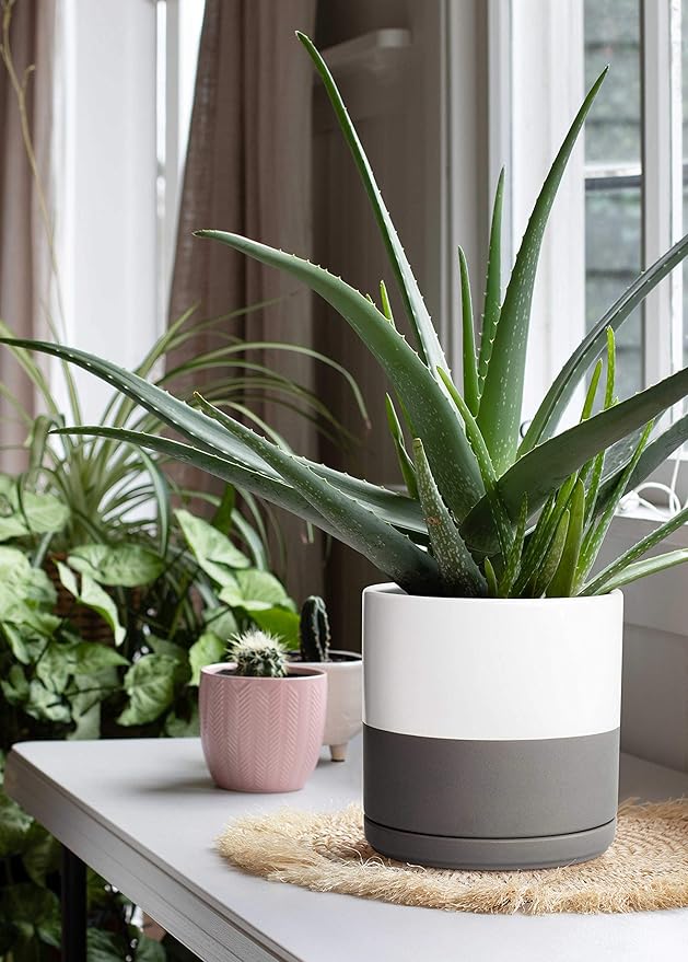 D'vine Dev 8 Inch Ceramic Planter Pot with Drainage Hole and Saucer, Indoor Cylinder Round Planter Pot, White/Speckled Grey, 94-O-D-6