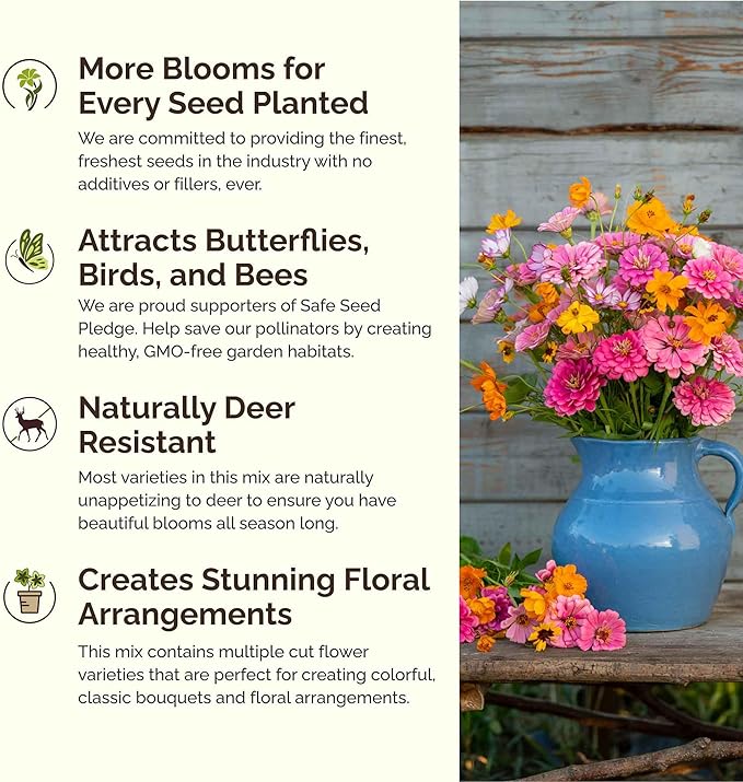 Eden Brothers Orange Sherbet Flower Mixed Seeds for Planting, 1 lb, 480,000+ Seeds with Cosmos Picotee, Bright Lights | Attracts Pollinators, Plant in Spring or Fall, Zones 3, 4, 5, 6, 7, 8, 9, 10