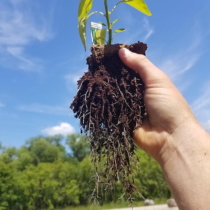 Daniel's Plants 3" Naked Pots | Natural Plantable Seed Starter Pots | OMRI-Listed Biodegradable Pots for Seedlings | Enhanced Drainage & Aeration | Earth Friendly - Peat Free | 16 Pack 3 Inch Round