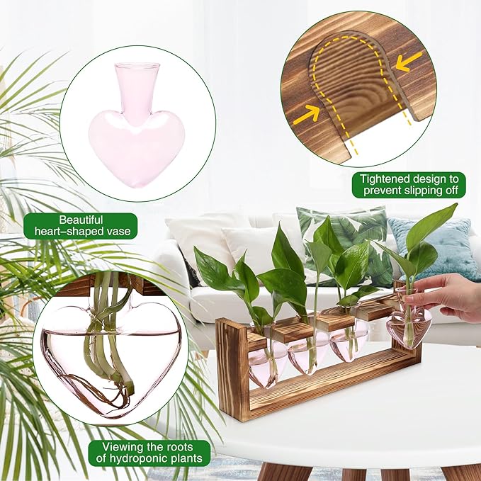 Plant Propagation Stations Heart Plant Terrarium Kit Gift for Women Plant Lover Glass Vases