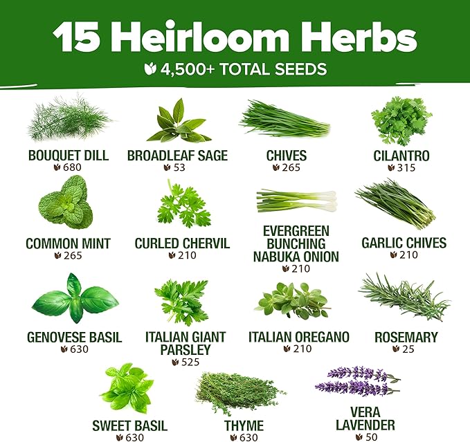 HOME GROWN 15 Herb Seeds for Planting 4,500+ Non-GMO Heirloom Seeds | Extra Large Variety Pack Herb Kit – Indoor Outdoor & Hydroponic | Culinary Seed Set | Grow Your Own Herbs | Gardening Gift