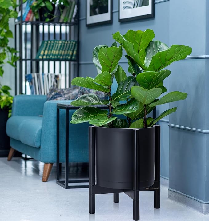 D'vine Dev Planter Pot with Stand - 12 Inch Plastic Cylinder Flower Pot with Wood Planter Holder for Indoor, Matte Black Pot + Ebony Stand, 55-C-Q-2