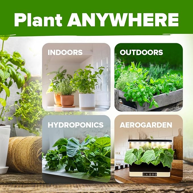 HOME GROWN 10 Herb Seeds for Planting 3,000+ Non-GMO Heirloom Seeds | Extra Large Variety Pack Herb Kit – Indoor Outdoor & Hydroponic | Culinary Seed Set | Grow Your Own Herbs | Gift for Beginners