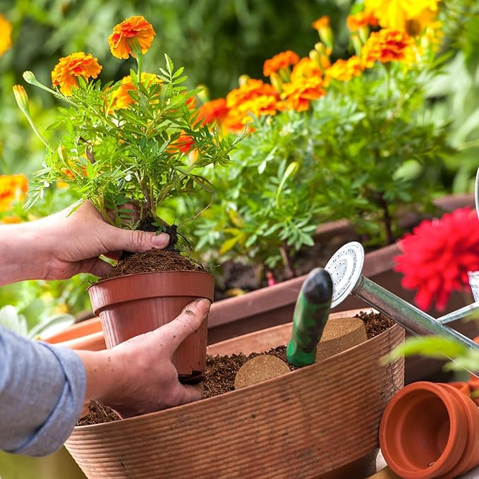 ZeeDix 50pcs 50mm Coco Coir Pellets, Compressed Soil Pellets Coconut Coir Seed Starter Discs Seed Starting Pellets Discs Potting Soil for Outdoor Plants Flowers Bonsai Herbs and Vegetables