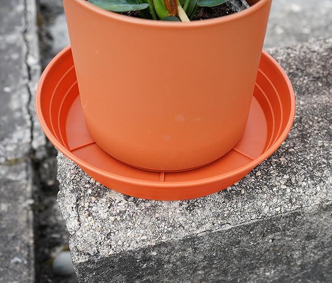 Plant Saucer 14 Inch 4 Pack 6 8 10 12 14 16 18 20 25, Plastic Plant Trays for Pots，Extra-Deep Plant Water Dray Tray, Bird Bath Bowl, Heavy Flower Plant Saucers Indoors and Outdoor No Holes
