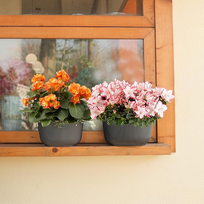 T4U 12 Inch Large Self Watering Plant Pots, Wide Self Watering Planter with Drainage Hole, Large Plant Pots Flower Pot for Plants, Set of 2,Gray