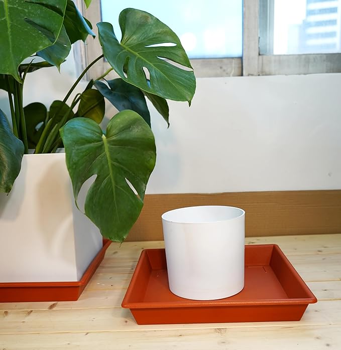 Square Plant Saucer 10 Inch 5 Pack, Plant Stand Flower Pot No Holes, Plant Trays for Pots Heavy Duty Plastic Plant Saucers for Indoors Outdoors Terracotta Plant Lover Gardening Gifts
