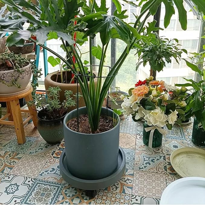 WanderingDonkey 2 Pack of 9.8 Inch Heavy Duty Plant Caddy with Wheels,Rolling Plant Stand Pot Trolley, Potted Flower Mover Dolly with Casters Round Coaster for Indoor Outdoor, Brown