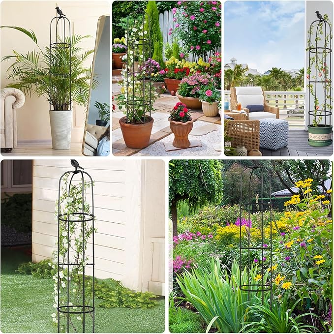 2 Pcs Garden Trellis for Climbing Plants, 6 Ft Rustproof Metal Pipe with Heavy Duty Plastic Coated, Garden Outdoor Indoor Potted Plant Support, Obelisk Garden Trellis for Climbing Vine