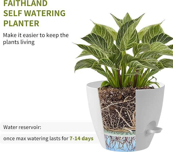 FaithLand 3-Pack Large Planter Pots, 12 10 9 Inch Self Watering Flower Pots for Indoor Outdoor Garden Plants, White with Brown