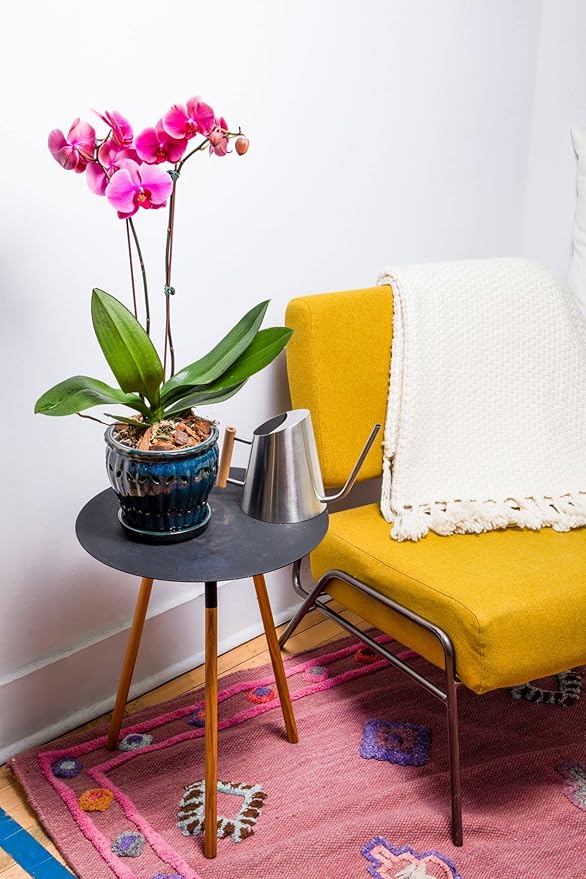 rePotme 6" Pinwheel Fluted Ceramic Plant Pot (Honey Cream Over Coffee) - - Includes Free 6 inch Slotted Pot Liner - Great for Orchids, Succulents, and All Indoor Plants