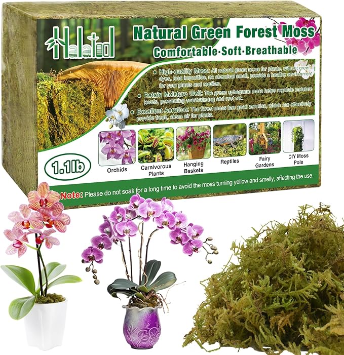 Halatool 1.1LB Green Forest Moss- 25QT Natural Sphagnum Moss for Plants Fluffy Orchid Moss for Orchids Repotting Dried Plant Moss for Potted Plants Indoor & Outdoor