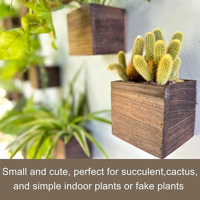 LaLaGreen Indoor Planter Box for Plants (12 Pack, 4x4 Inch) Small Square Wooden Wall Mounted Planters Wood Window Boxes Hanging Flower Pot Plant Holder Outdoor Herb Modern Vertical Garden Home Decor